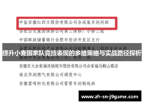 提升小麦国家队竞技表现的多维策略与实战路径探析